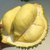sầu riêng nguyên múi cấp đông