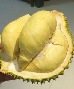 sầu riêng nguyên múi cấp đông