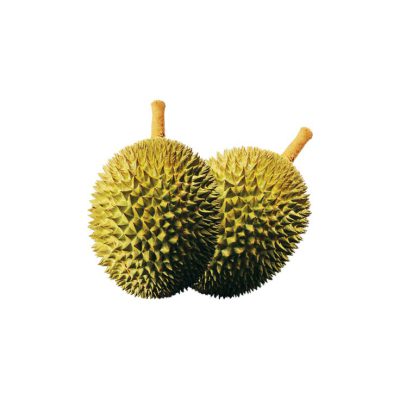 sầu riêng cấp đông nguyên trái