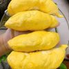 sầu riêng nguyên múi ăn liền