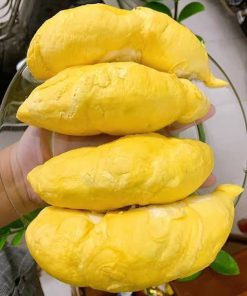 sầu riêng nguyên múi ăn liền