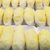 sầu riêng cấp đông nguyên múi musang