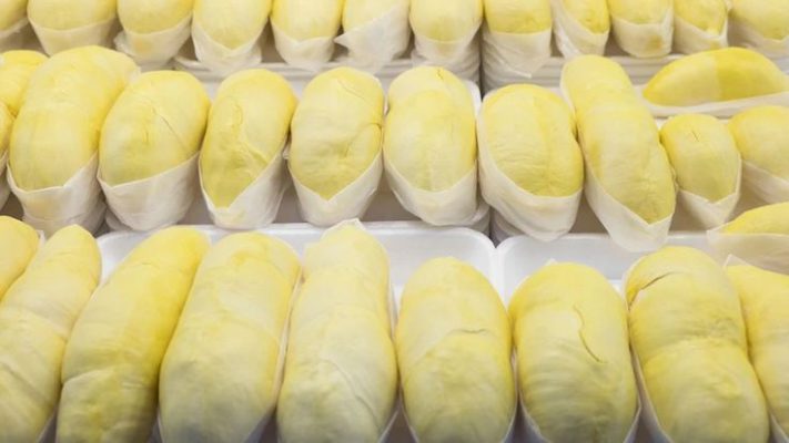 sầu riêng cấp đông nguyên múi musang