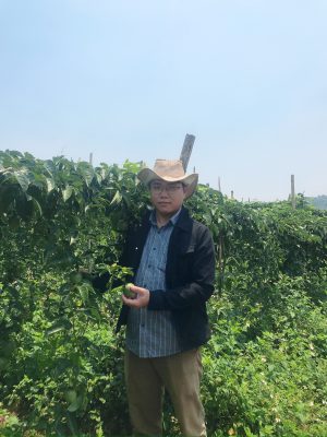 kỹ thuật trồng chanh dây