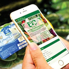 truy xuất nguồn gốc